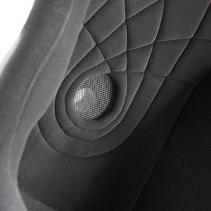 Racetech RT4119WTHR Wide and Tall Size Racing Seat